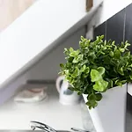 Apartamento Budget Lofts Budapeste