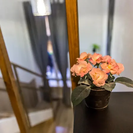 Central Budget Lofts Apartment