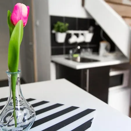 Budget Lofts * 布达佩斯