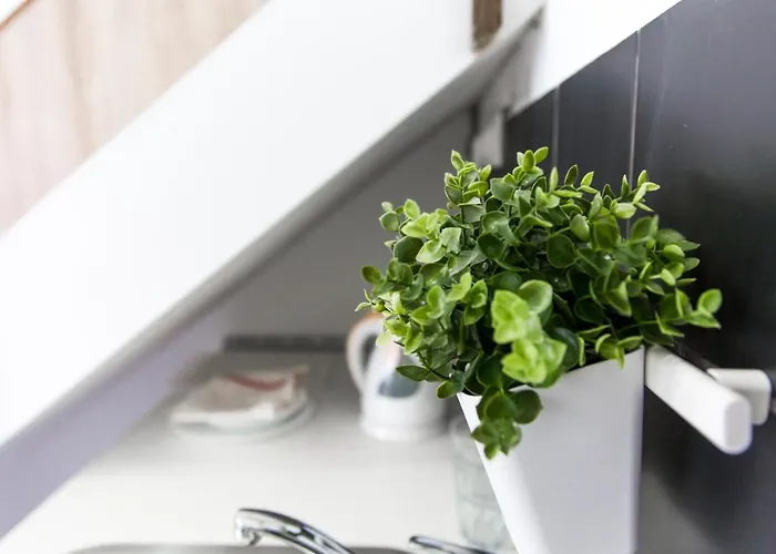 Lägenhet Budget Lofts Budapest